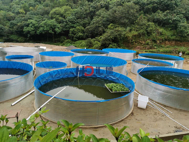 江西贛州養魚(yú)池